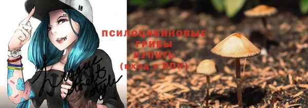 дмт Протвино