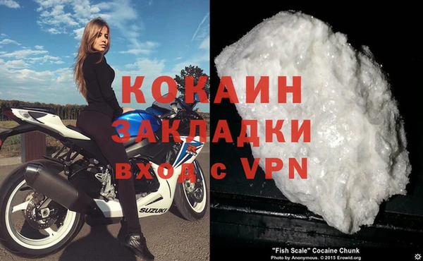 дмт Протвино