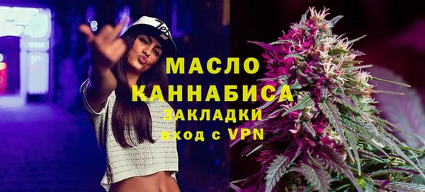 дмт Протвино