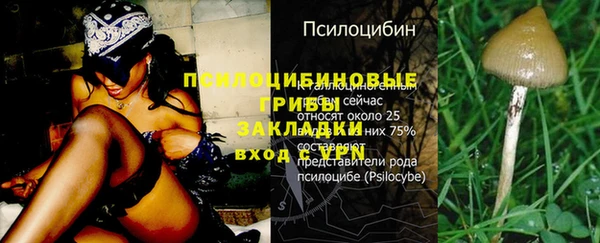 метамфетамин Пролетарск
