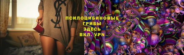 дмт Протвино