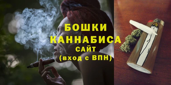 дмт Протвино