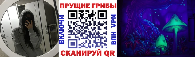 как найти закладки  Урень  Псилоцибиновые грибы Cubensis 